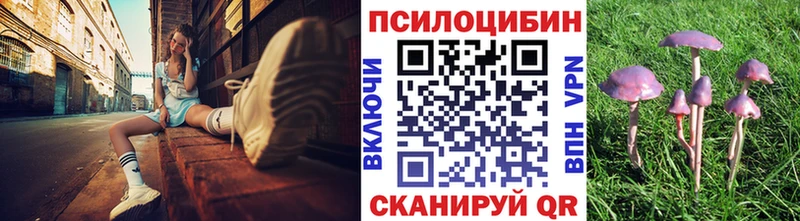 купить сайты Белово гидра зеркало Галлюциногенные грибы Magic Shrooms
